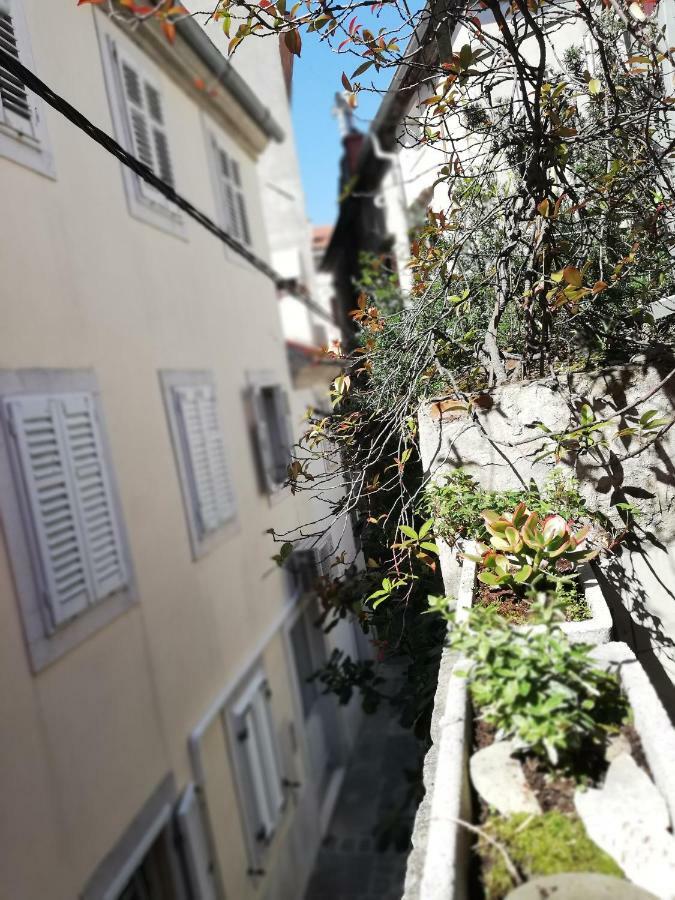 Apartment Centro Storico Piran Buitenkant foto